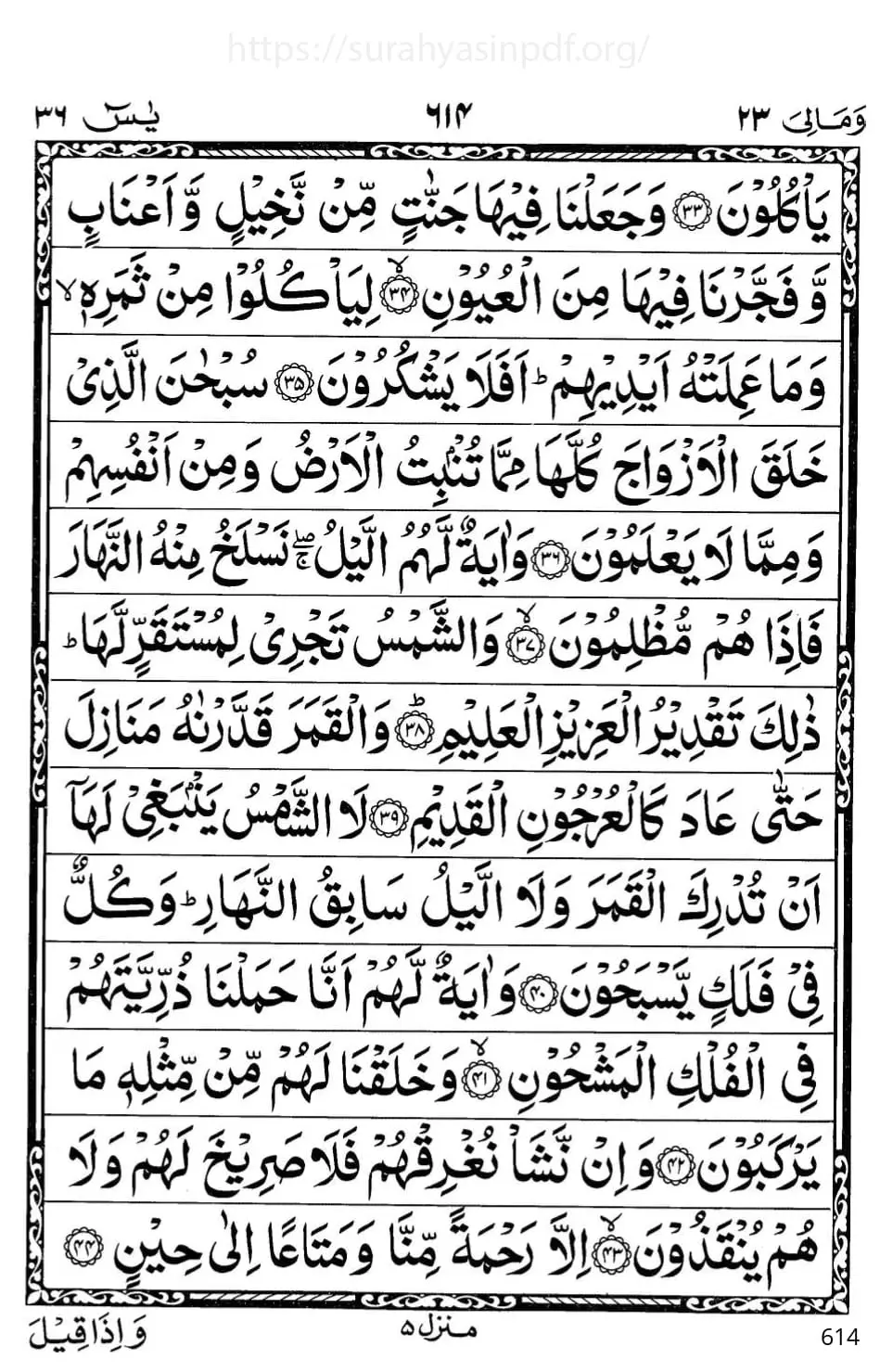 yasin shareef